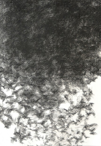 Jiří Voves - Rooks